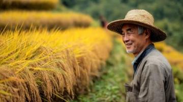 衡阳一日游攻略: 吃住行不怕迷路!