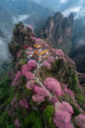 天水麦积山石窟国家5A景区概览及旅游指南