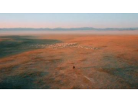呼伦贝尔六日游超详攻略：领略草原风光，感受民族风情