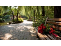 北京东边免费公园赏花踏青指南，避人潮秘境推荐