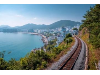 一口入魂美食炸弹在中国北方的海岸线上，青岛像一颗镶嵌在黄海之滨的明珠
