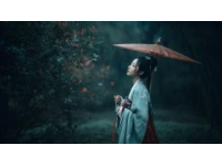 倾盆大雨中的神秘世界：天倾录描绘雨幕下的奇幻景象