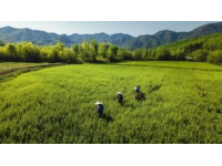 四川吉隆达集团与川农营养所学贯通 走基层微量元素发展
