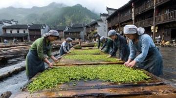 国庆意外出游:与家人共赏石泉古镇魅力及美食之旅