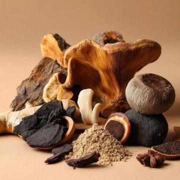 菌类食物安全注意事项