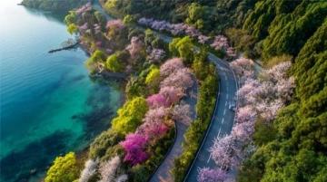 贵州毕节百里杜鹃风景区攻略（门票花期交通及游玩推荐）