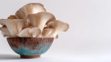 菌类食物安全注意事项