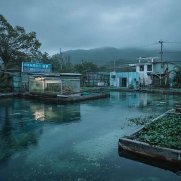 成都鱼贩与城管的小风波:民生艰难还是城市管理不善?