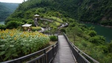 上饶夏日避暑胜地:三清山、卧龙谷徒步探险吸氧天堂