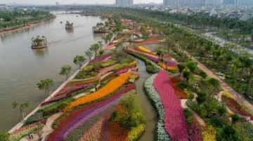 苏州东沙湖公园:春风中绽放的花季盛宴