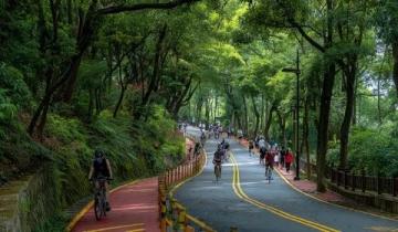 夜幕下的合兴路:告别旧居后的温暖回忆与新发现