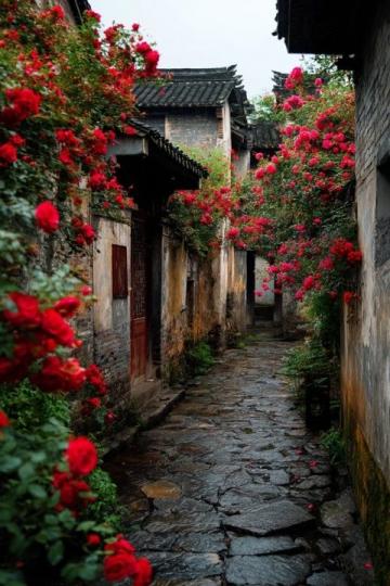 苏州旅游游玩攻略来袭