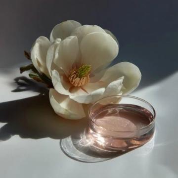 我一直觉得玉兰花就像是大自然馈赠给我们的一件珍宝,它那洁白如玉、清香淡雅的花朵
