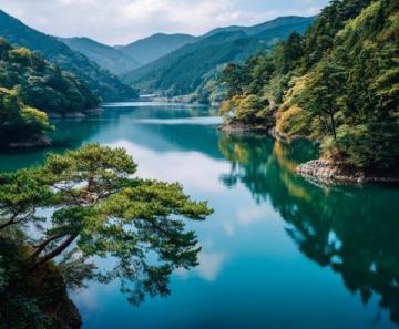 四川九寨沟夏天4日游攻略