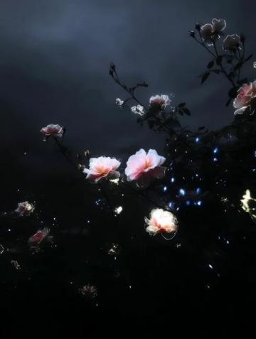 暗香满天,夜色更深