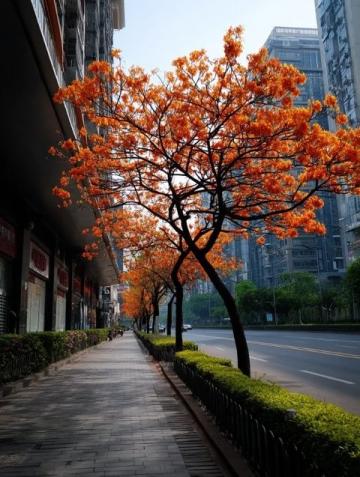 春日花开时节，苏州杭州河鲜尝鲜记