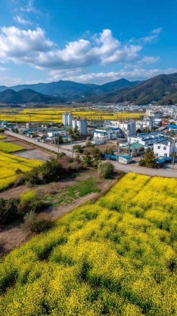 探索春城:昆明三日游的自然、文化与美食之旅