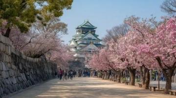 2025五一假期省钱攻略:热门景点与小众冷门目的地推荐