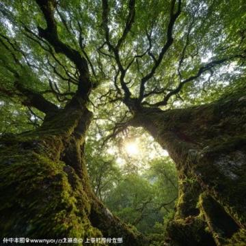 探索人间仙境：四川九寨沟深度游指南与体验