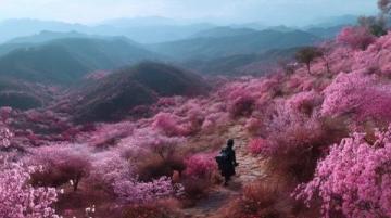 川西秘境:三月春光中,绝美花海引领颜值巅峰