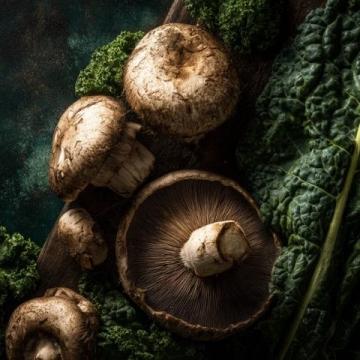 菌类食物安全注意事项