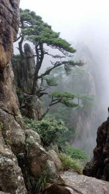 再次走近渔山列岛