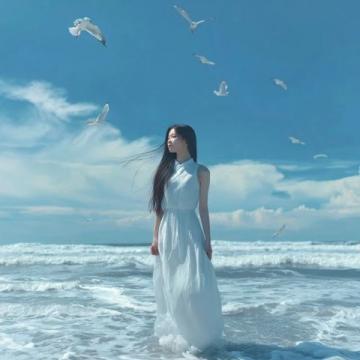 舟山仙境:3天2夜穿梭东海蓬莱的夏日浪漫