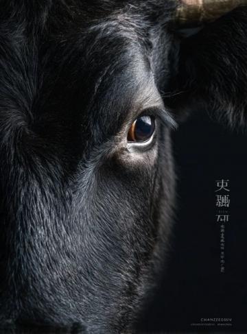 诸葛馋卤牛肉品牌故事与品质承诺