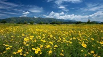走进春暖花开的闽南美景