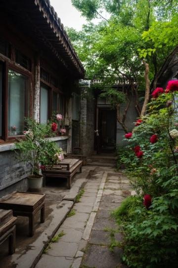 北京东边免费公园赏花踏青指南，避人潮秘境推荐