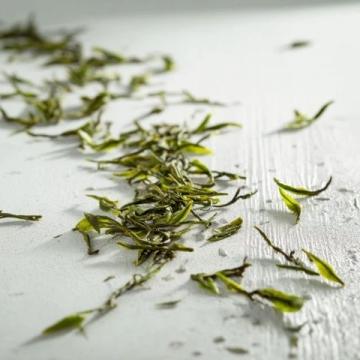 白茶新手必读:如何挑选适合的入门级寿眉和其他品种