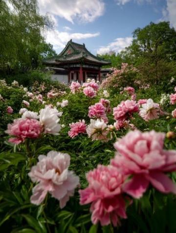 春城昆明:四季如春的旅游胜地融合自然与文化美景