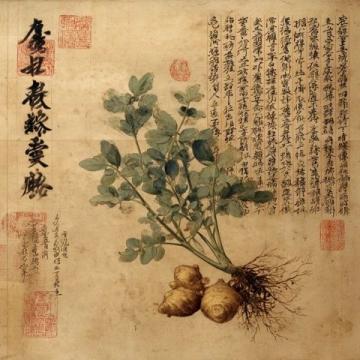 清代陶素耜编道言五种：丹道修炼秘录详解