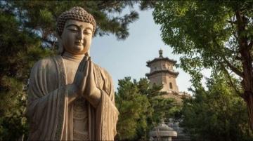探索日照莒国古城:一份实用旅游指南