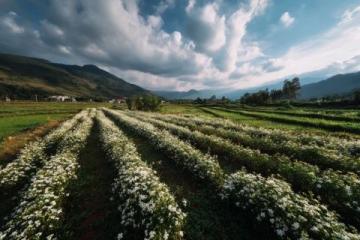 走进春暖花开的闽南美景