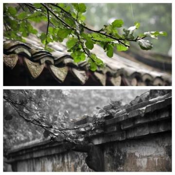 烟雨江南,味蕾飘香