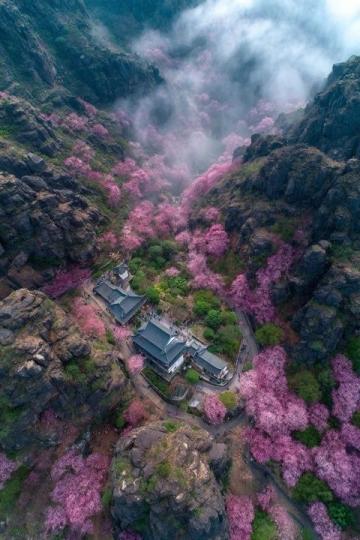 2025年必去的五大春季旅行胜地,跟随榜单开启新体验