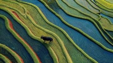 云南十大旅游胜地~第篇:元阳梯田-大地的艺术之旅