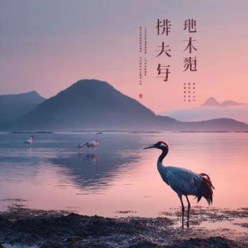 以下是为云南旅游量身打造的原创爆款文案攻略，结合自然风光、人文风情与深度体验