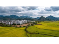 浙江松阳：亲子慢游的理想之地