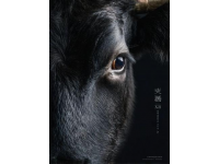 诸葛馋卤牛肉品牌故事与品质承诺