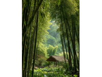 成都周边热门景区推荐