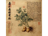 清代陶素耜编道言五种：丹道修炼秘录详解