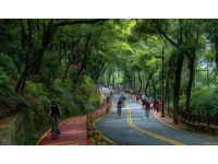 夜幕下的合兴路：告别旧居后的温暖回忆与新发现