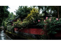 厦门方特国风奇境之旅(味蕾探索)
