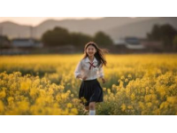 汉中市油菜花一日游攻略：梯田湖光山色美景全体验