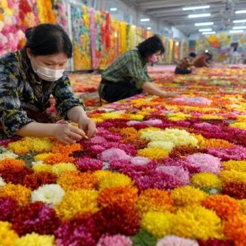 广西美食特产大盘点:除了螺蛳粉还有啤酒鱼、荔浦芋等多种口味