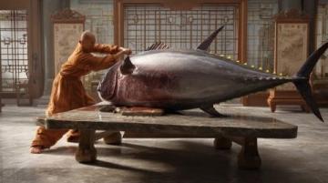 30元一条的无刺全肉鱼,营养丰富补脑佳品最适合孩子吃