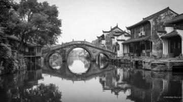 望江南·鱼排之韵邱晓辉