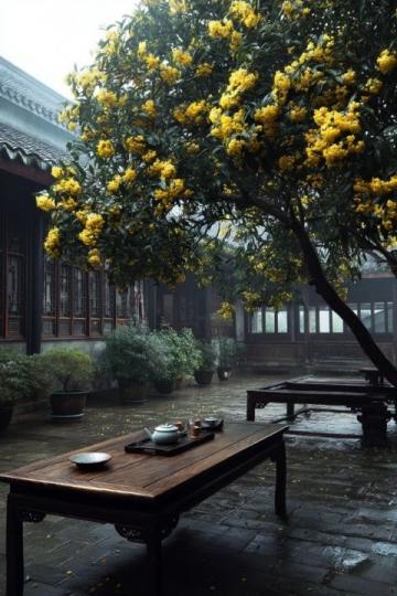 雨水中的浪漫采风:重游拱宸桥西文化街的摄影日志